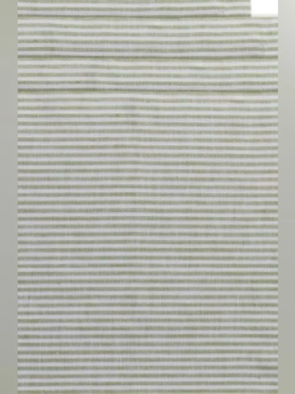STRIPED PLACEMATS Pure European FLAX LINEN (Set of 4) AVOCADO & WHITE